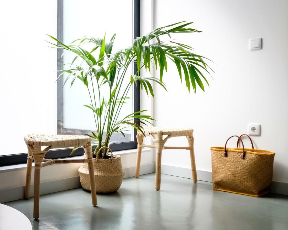 Casa Do Vento By Home Sweet Home Авиеро Екстериор снимка