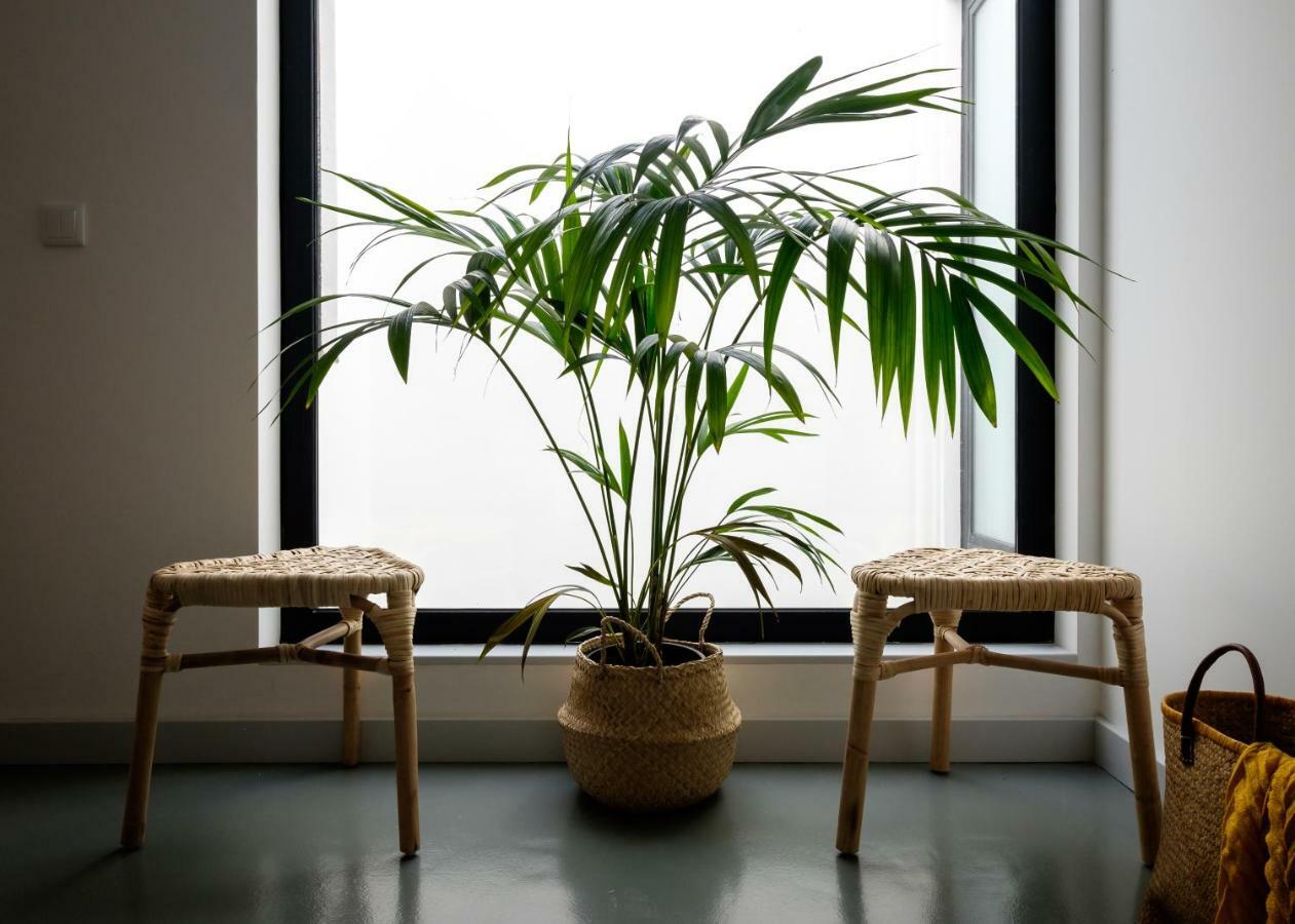 Casa Do Vento By Home Sweet Home Авиеро Екстериор снимка